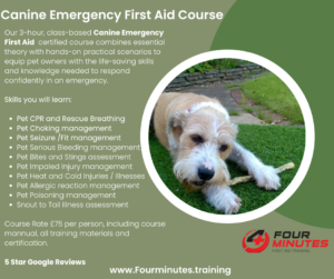 Canine Emergency First Aid Certified Training / Our 3-hour