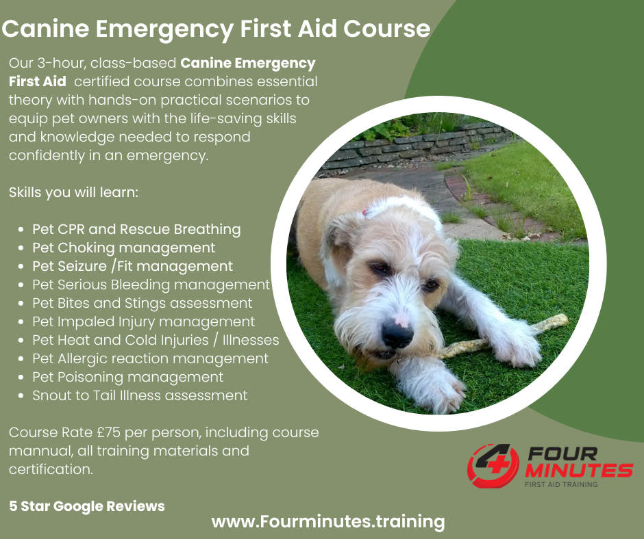 Canine Emergency First Aid Certified Training / Our 3-hour